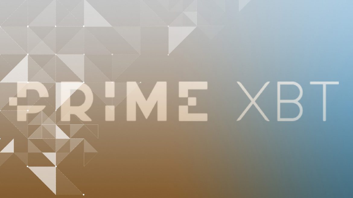 Insight on PRIME XBT Exchange