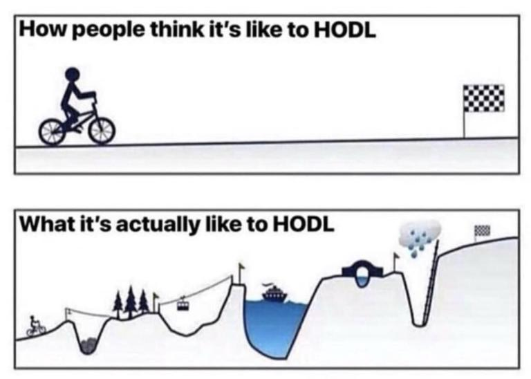 How-People-Think-Its-Like-To-HODL-vs-What-Its-Actually-Like-To-HODL-Crypto-Memes-768x548.jpg